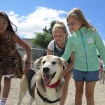 IMG_5457 3 kids and a dog